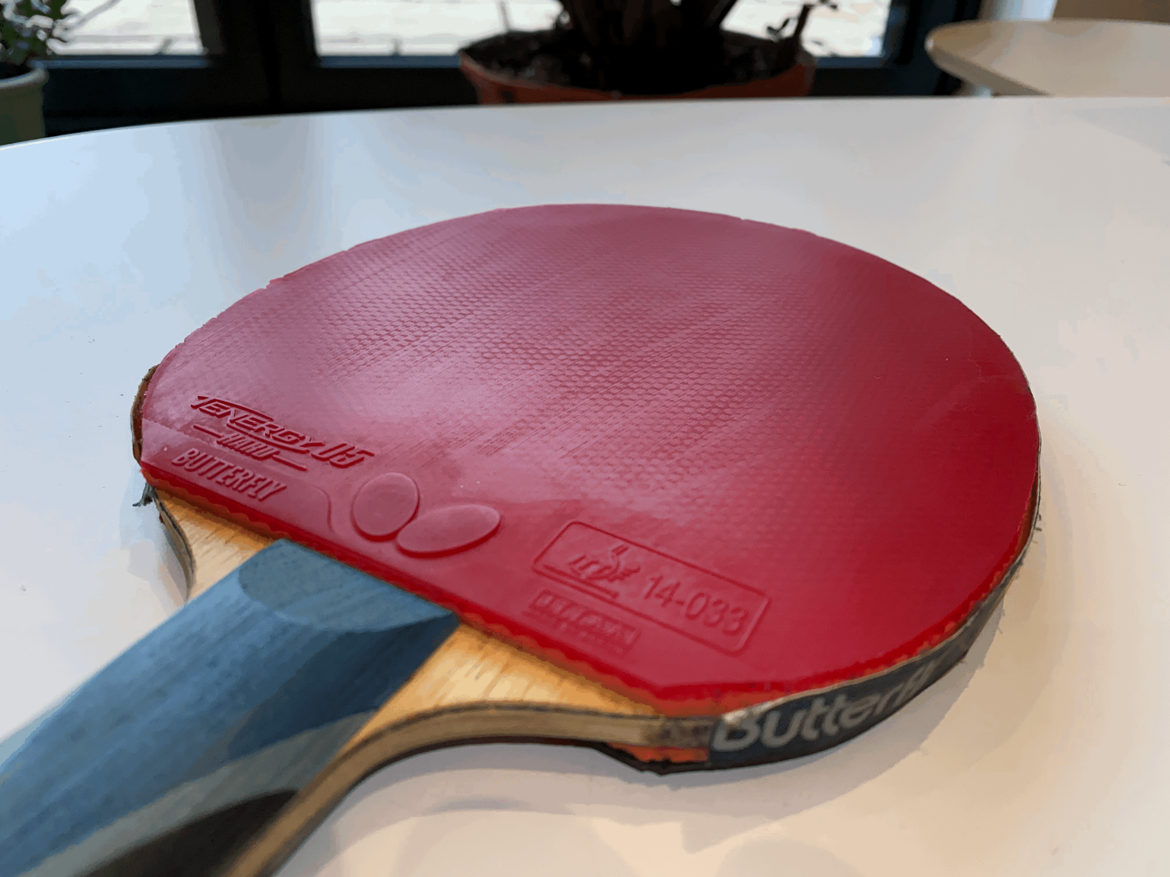 Table Tennis Equipment (Everything)